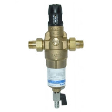 Ecosoft BWT Protector mini HWS ½" HR - Фільтр для гарячої води